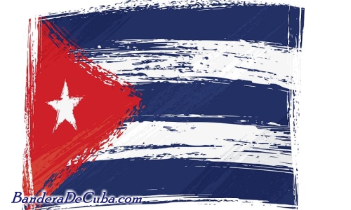 Partes de la Bandera de Cubana